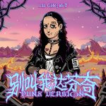 别叫我达芬奇 Punk